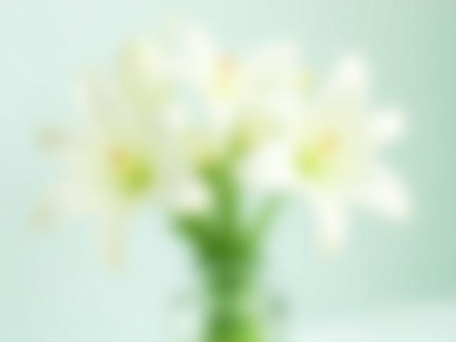 Lily flowers sa eleganteng vase